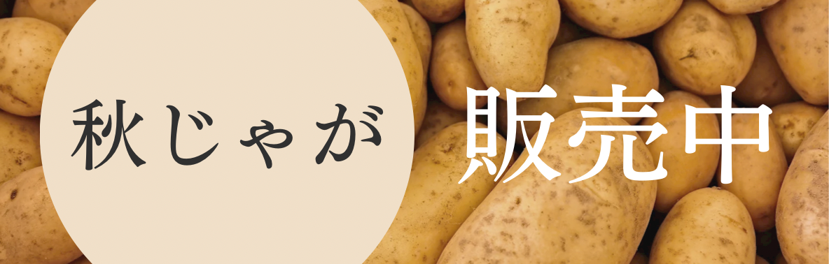 ☆カブ種 【 もものすけ 】 小袋 （栽培用 種子 かぶ 蕪 ナント） 野菜・果物の種,カブ（蕪）なら、みつのぶ