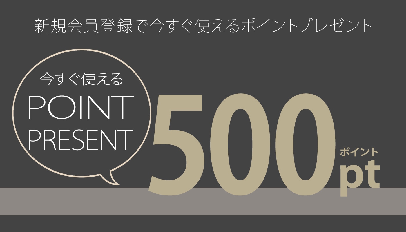 Ͽǥݥ500ʬå